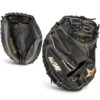 All-Star Pro-Elite 34 Inch CM3000MBK Baseball Catchers Mitt -Baseball Sale Store all star cm3000mbk 36668.1654284934