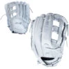 Miken Pro Series 14 Inch PRO140-WW Slowpitch Softball Glove -Baseball Sale Store miken pro140wwx 01 72673.1654283765