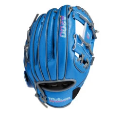 Wilson A200 EZ Catch Love The Moment 10 Inch WBW10090810 Youth Baseball Glove -Baseball Sale Store wbw100908 0 a200 autism ez catch 10 unisex autismblue 76450.1674067611